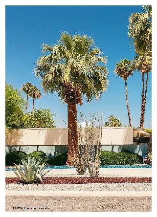 Palm Springs