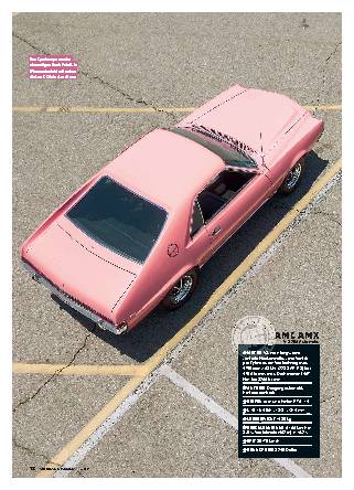 Playmate-AMX