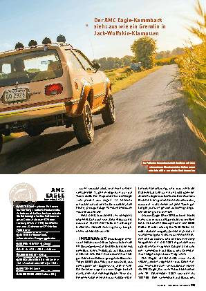 AMC Eagle