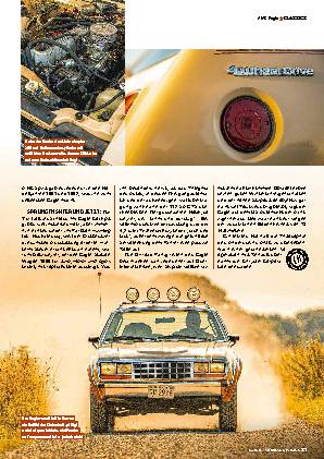 AMC Eagle