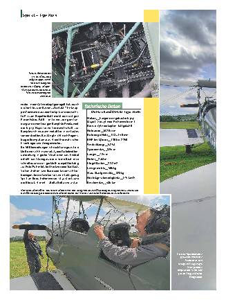 Tiger Moth