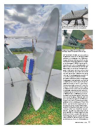 Tiger Moth