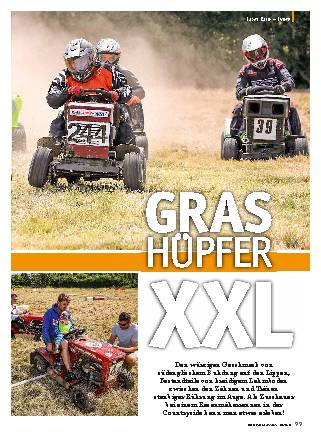 Lawn Race