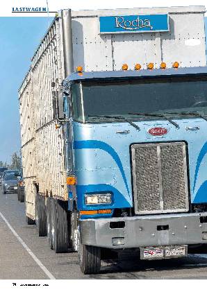 Peterbilt 362