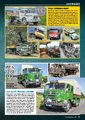 21 verschwundene Lkw-Marken