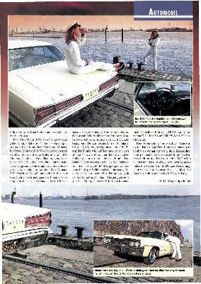 Dodge Monaco Hardtop Coupé von 1966