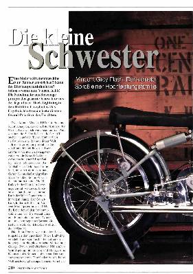 Vincent Grey Flash: Der kleinste Sproß einer Hochleistungsfamilie