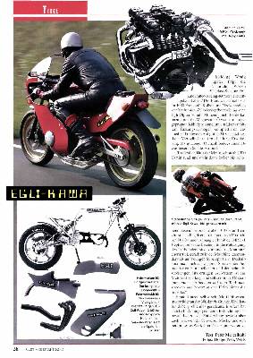 Egli-Kawasaki