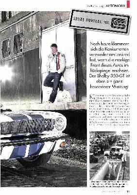 Shelby Mustangs