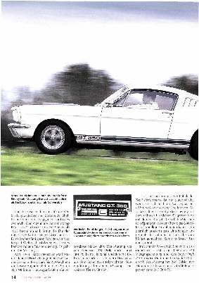 Shelby Mustangs