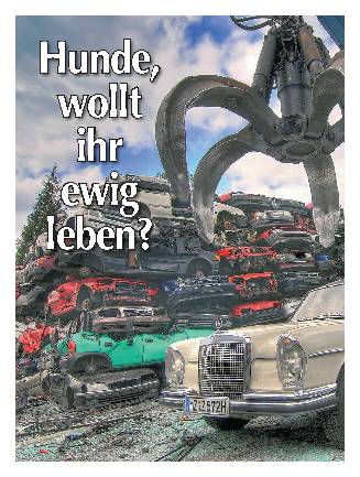 Abwrackprämie: Verschrotten fürs Vaterland?