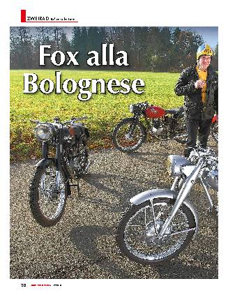  Italienische Föxe