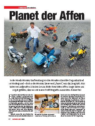 Leser-Monkys