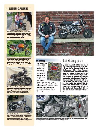 Leser-Monkys