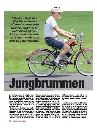 Whizzer-Einbaumotoren