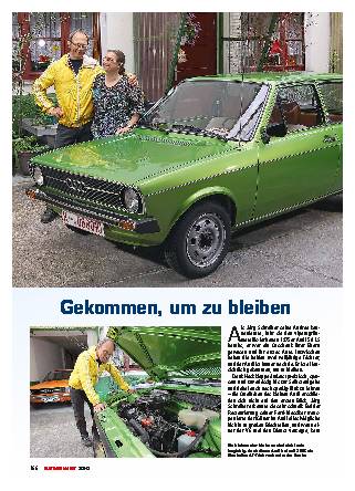 Wahre Helden