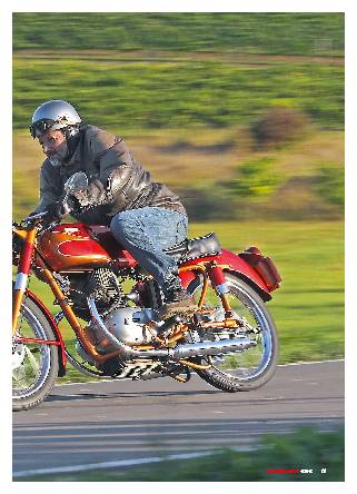 Berneg Fario Sport