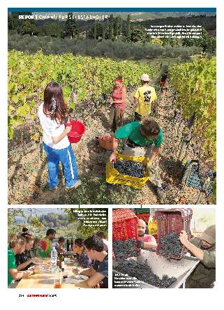 Chianti für Selbstabholer