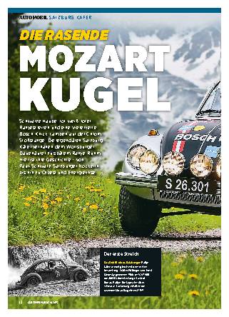 Salzburg-Käfer