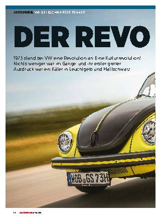 VW Gelbschwarzer Renner