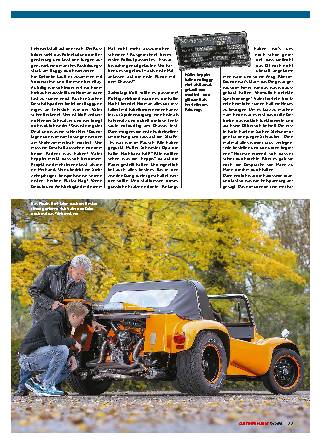 Buggy-Restaurierung