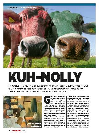 Kuh-Nolly-Leder