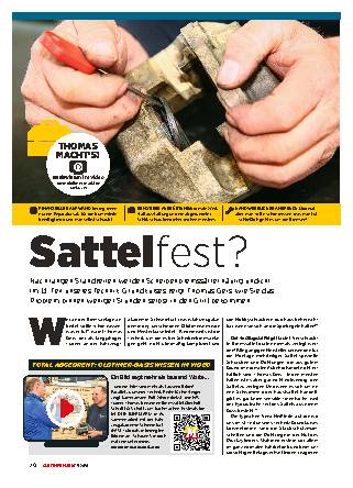 Bremssättel überholen