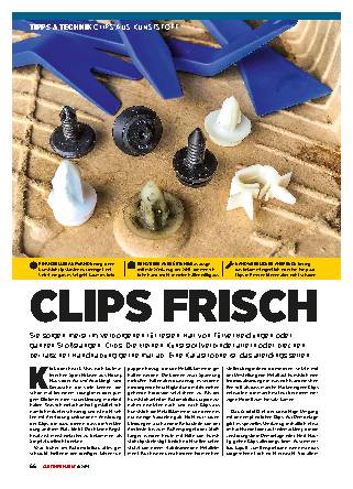 Clips aus Kunststoff