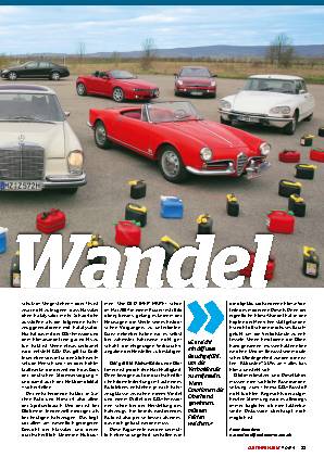 Die Dynamik des Bauchgefühls
