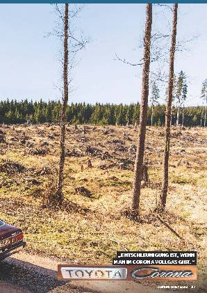 Corona im Harz