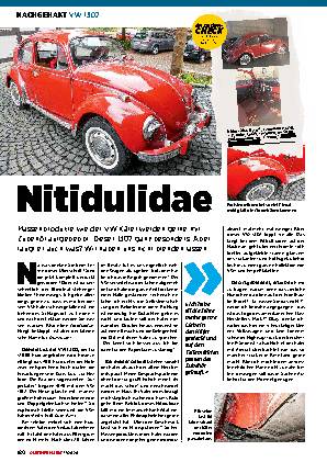 VW 1302