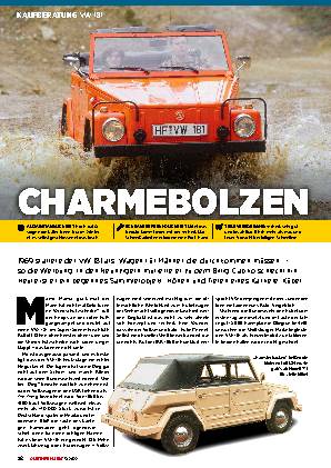 VW 181
