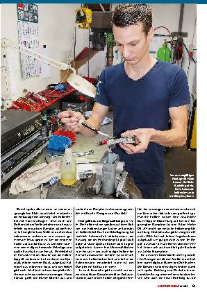 Hebelstossdämpfer Reparieren