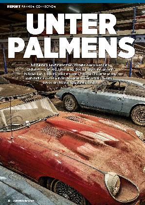 Palmen-Collection