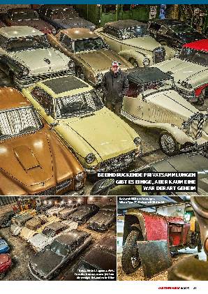 Palmen-Collection