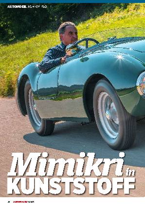 MimikriInKunststoff