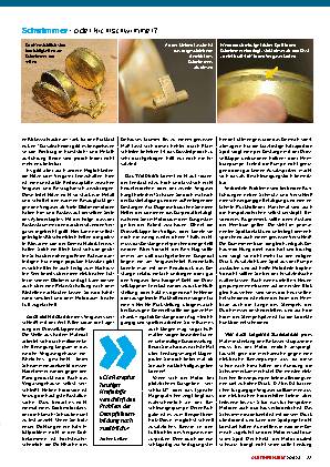 Häufige Vergaserprobleme