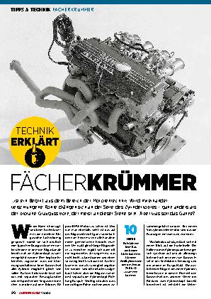 Fächerkrümmer