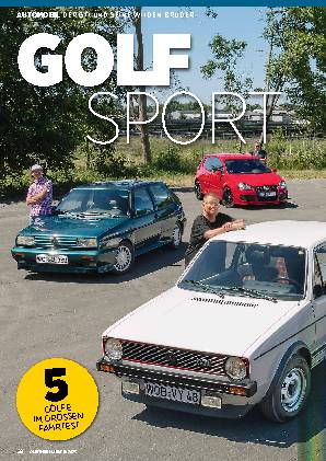 Der GTI und seine wilden Brüder