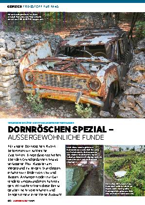 Dornroeschen Spezial