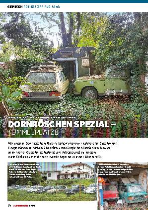 Dornröschen Spezial 