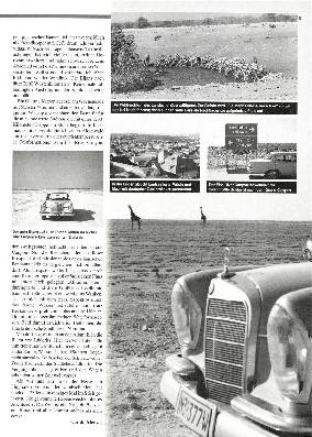 Mercedes Heckflosse (Namibia)