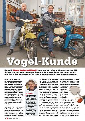 Simson Sperber und Habicht
