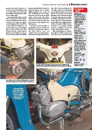 Simson Sperber und Habicht