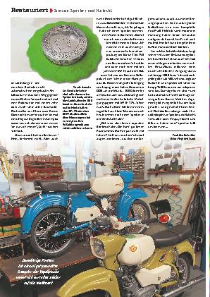 Simson Sperber und Habicht