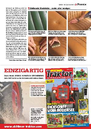 Leder restaurieren, Teil 2