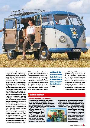 VW Bus Barndoor