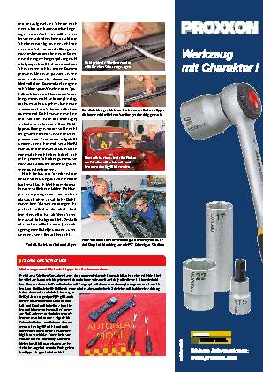 Scheibenservice