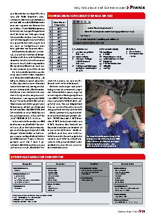 Fett, Fettpresse und Schmiernippel