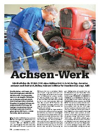 Achse ZF GLA-2550 überholen, Teil 1